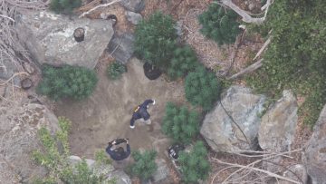 77E158CD-5DCB-4E2E-A33D-49BA6DF9A79D