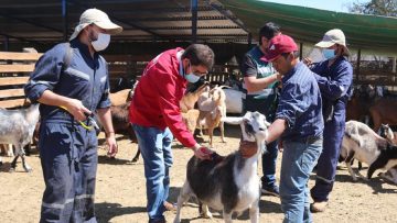 031D036C-C86C-4267-BAAF-7F86FBBB07C3