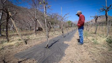 A1A7D4FB-2453-43E1-9D37-1F3D5282DF33