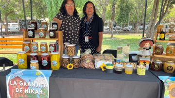 4902C99F-EE6A-4217-913D-78F3F38990C8